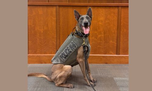 Anniston Police Department’s K9 Izzy has received donation of body armor