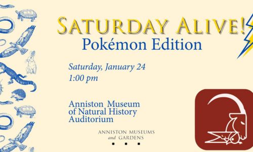 Saturday Alive! Pokemon Edition