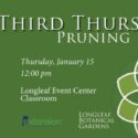 Third Thursday Pruning