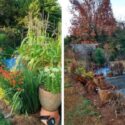 Winter Journal Includes Spring Raised Beds, Potted Plants, In Ground Planting
