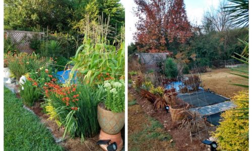 Winter Journal Includes Spring Raised Beds, Potted Plants, In Ground Planting