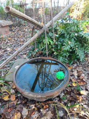 Winter Weeds Bigger Roots, Easy Removal