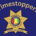 Calhoun-County-Sheriffs-Office-Requests-Public-Help-in-Solving-Recent-Property-Crimes-1-1