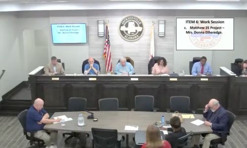Jacksonville City Council