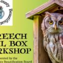 Screech Owl Box