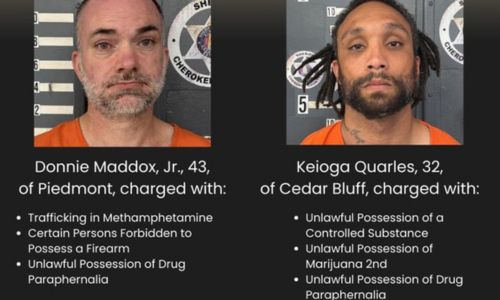Piedmont Arrest