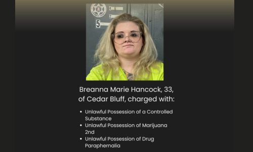 Piedmont Arrest