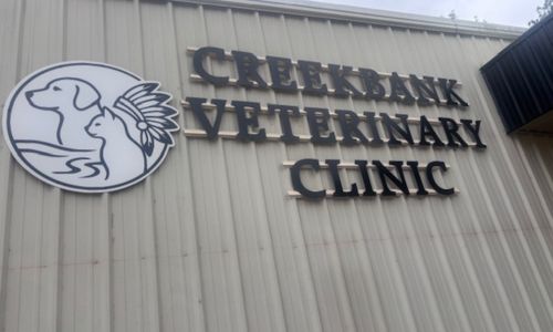 Creekbank Vet