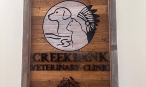 Creekbank Vet