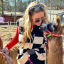5th annual LLAMAPALOOZA