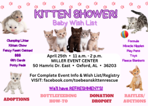 4th Annual Kitten Shower