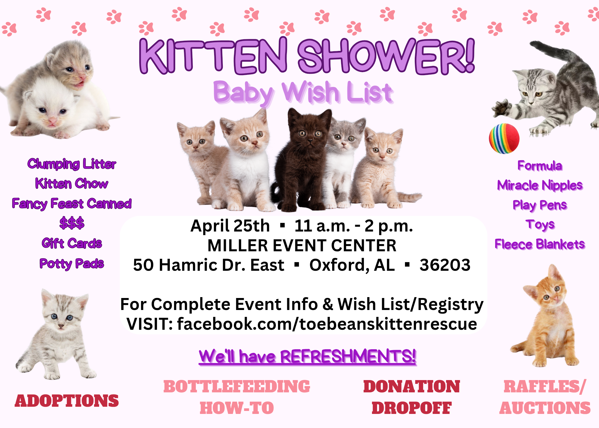 4th Annual Kitten Shower