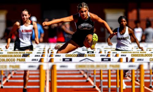 This week’s schedule