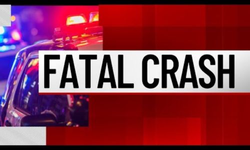 Traffic Fatality-Talladega County