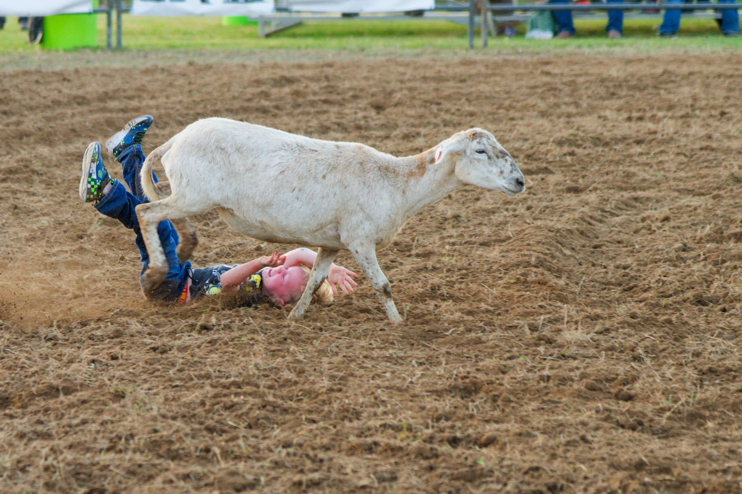 calcounty-county-sheriff-rodeo-04-17-26-185_dxo_55217417659_o