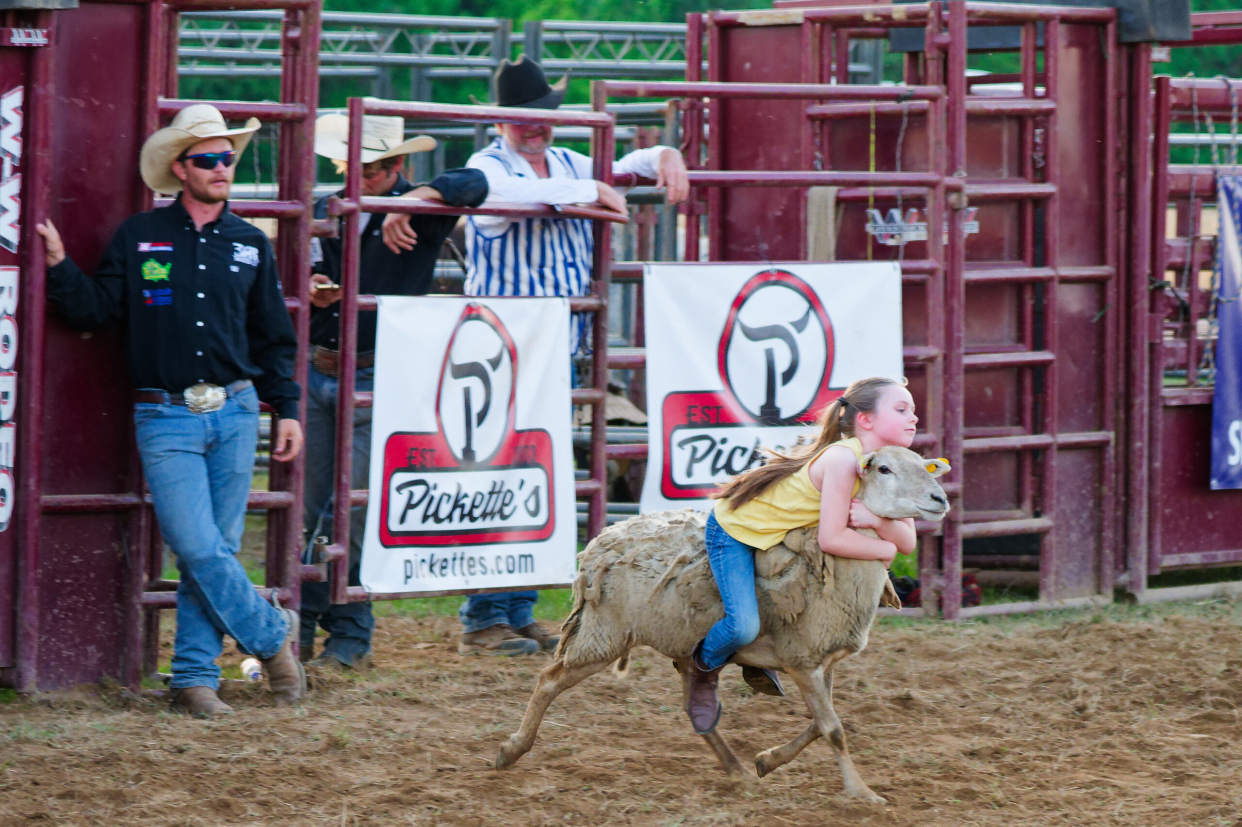 calcounty-county-sheriff-rodeo-04-17-26-197_dxo_55216273512_o
