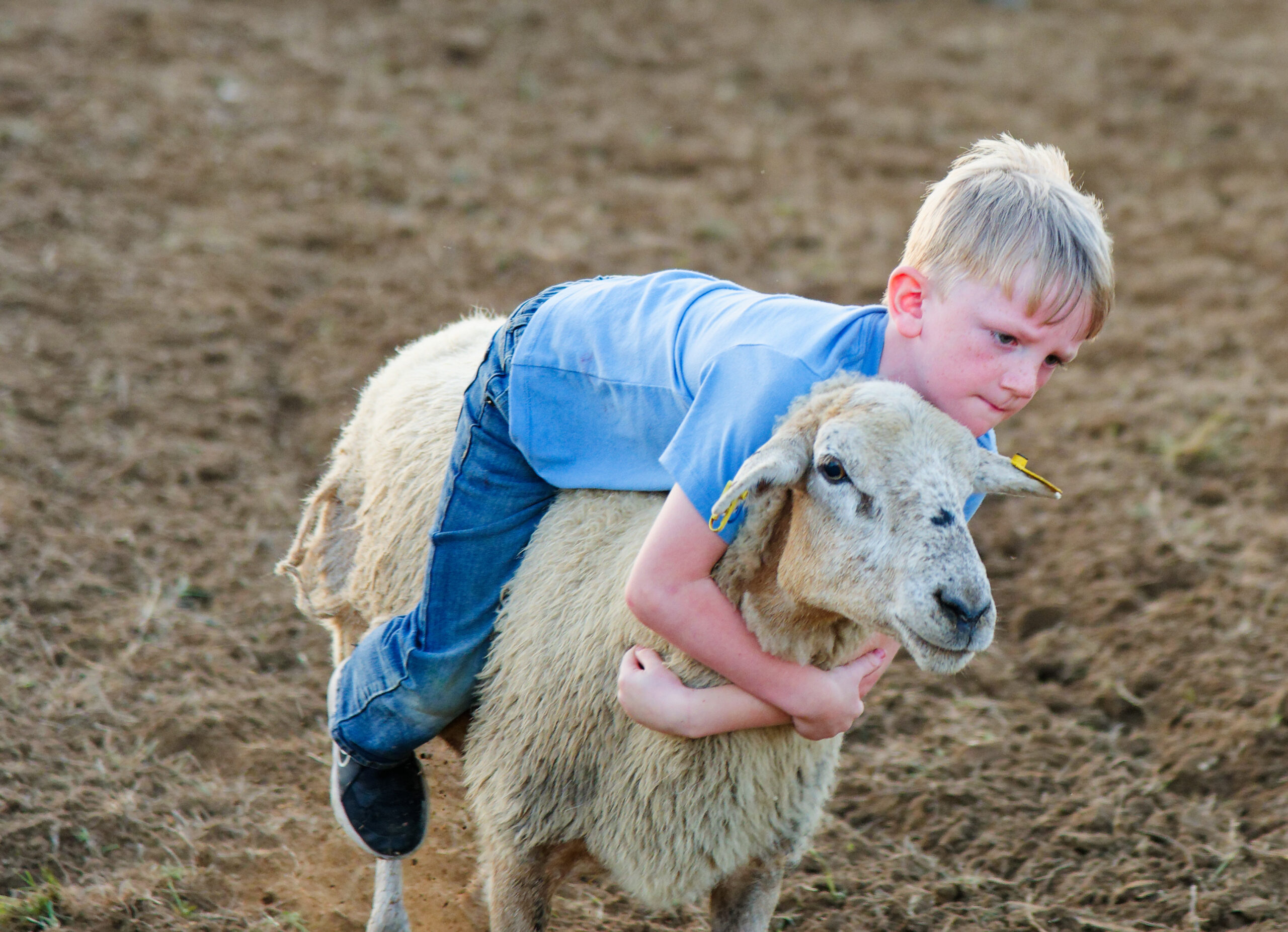 calcounty-county-sheriff-rodeo-04-17-26-248_dxo_55217443834_o