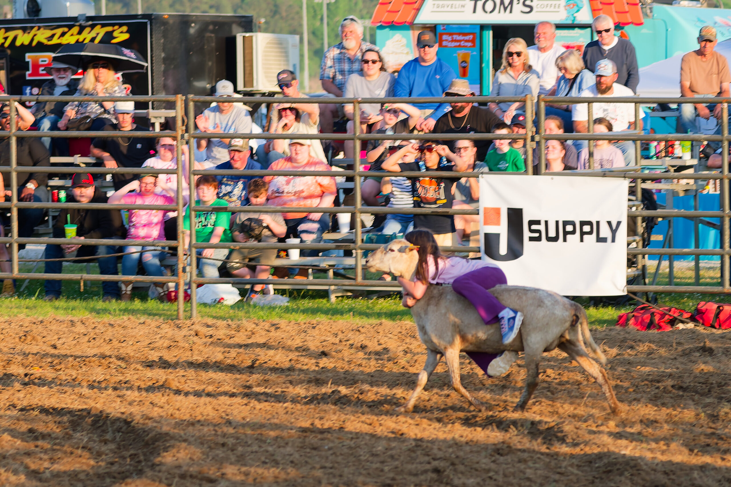 calcounty-county-sheriff-rodeo-04-17-26-72_dxo_55217269493_o