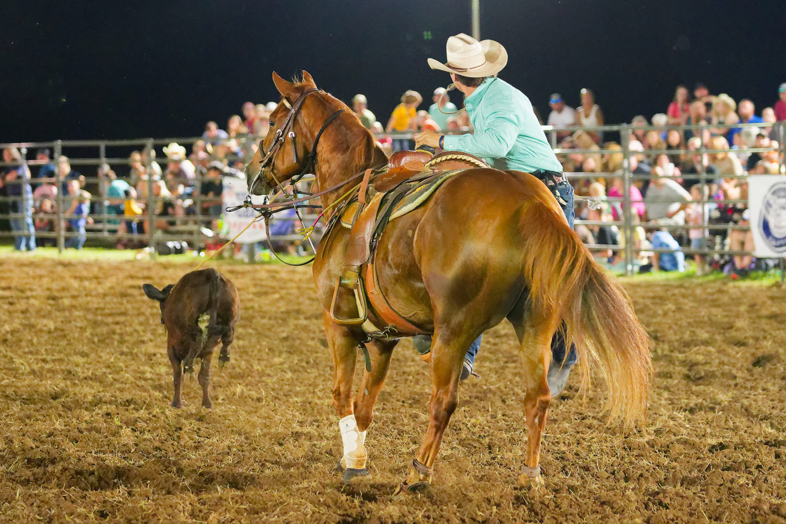calcounty-county-sheriff-rodeo-1165-4-17-26_dxo_55217890935_o