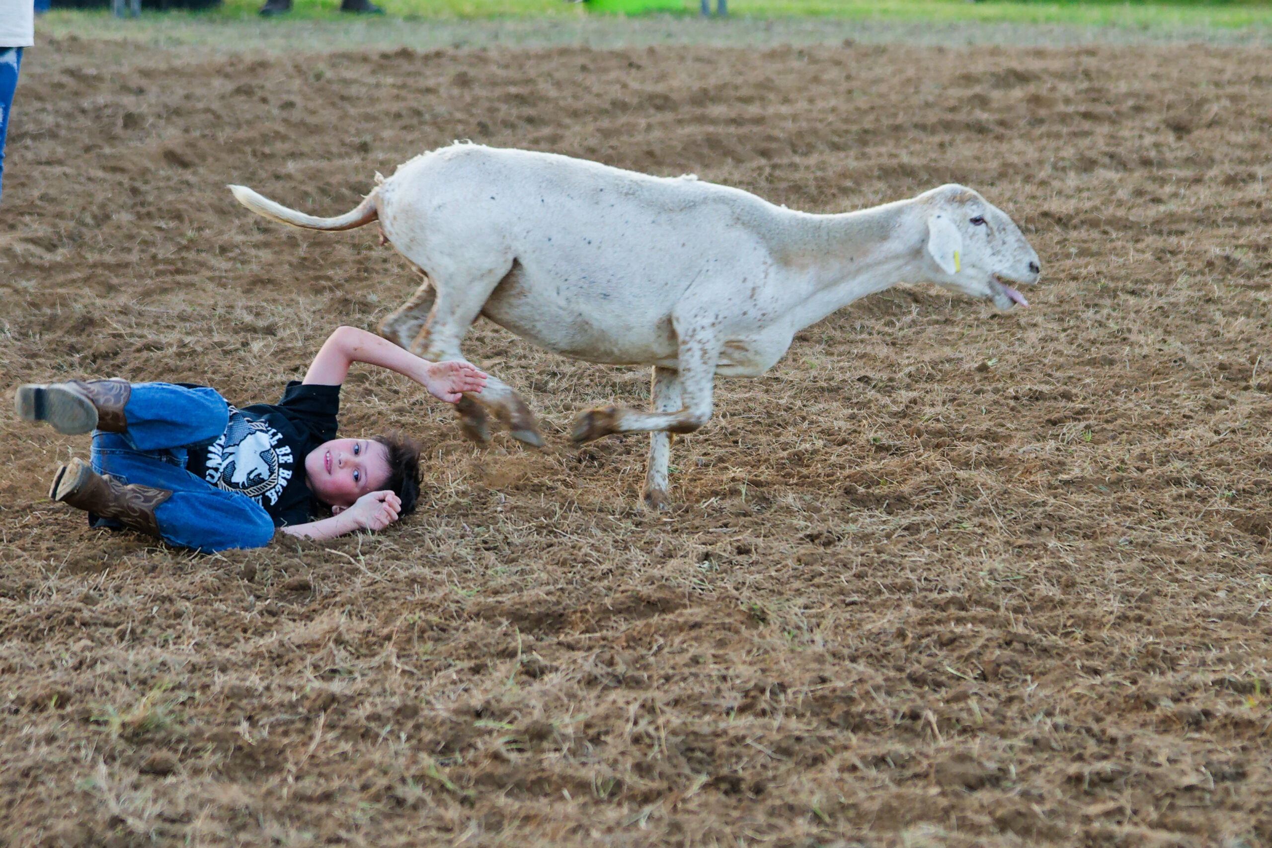 calcounty-county-sheriff-rodeo-119-4-17-26_dxo_55217375298_o
