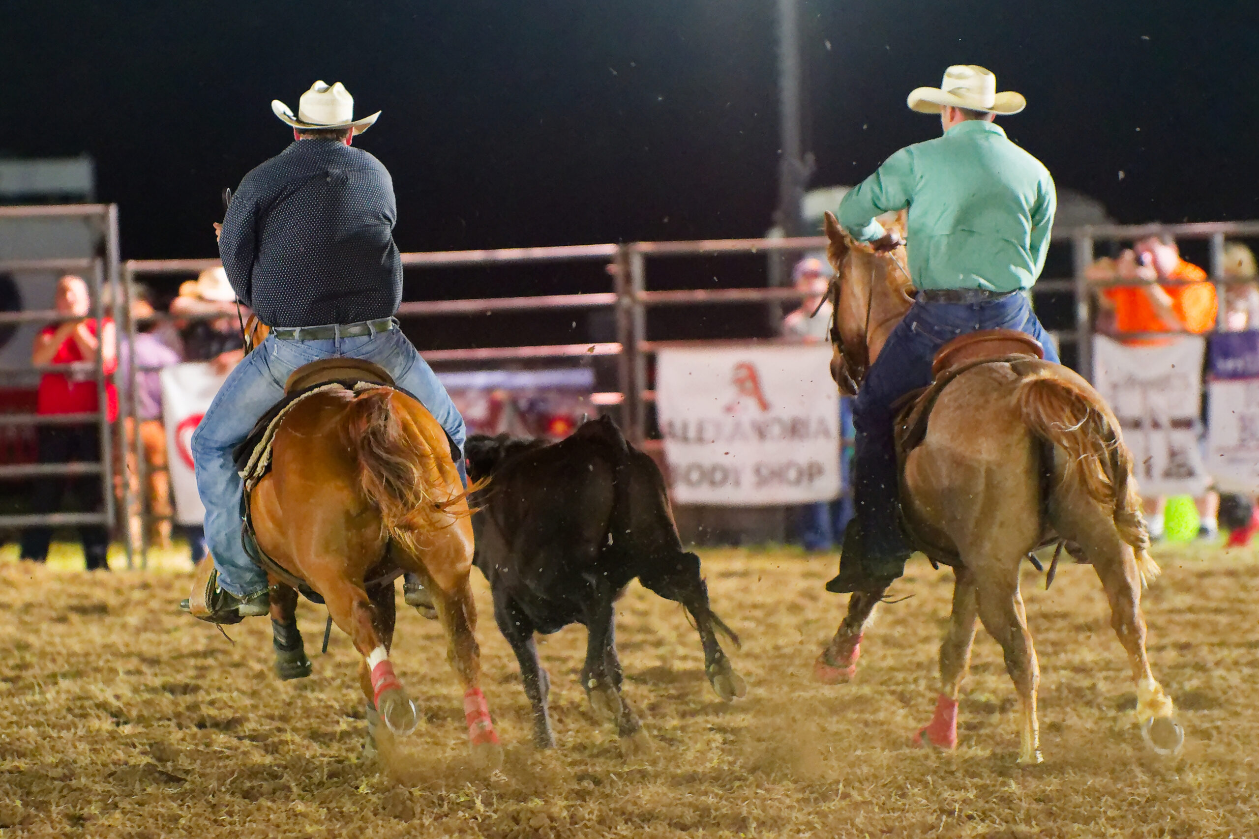 calcounty-county-sheriff-rodeo-1414-4-17-26_dxo_55217725343_o
