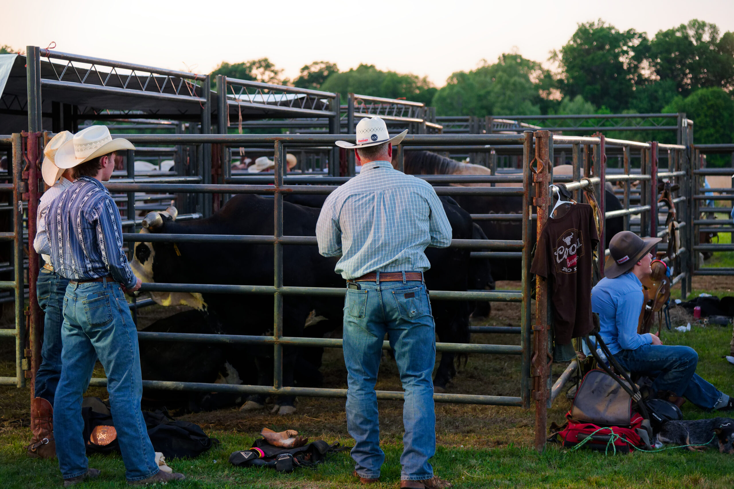 calcounty-county-sheriff-rodeo-143-4-17-26_dxo_55217235236_o