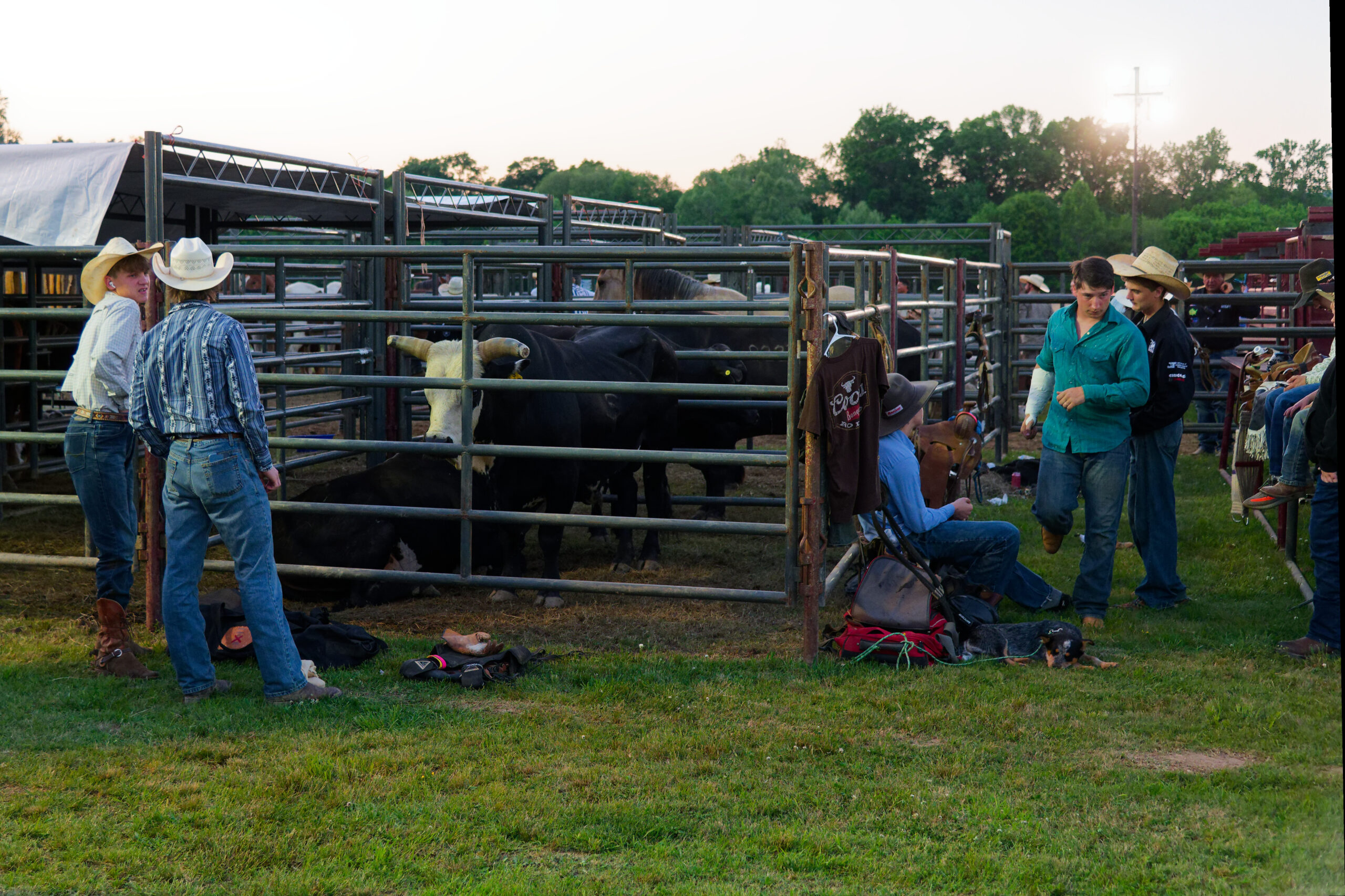 calcounty-county-sheriff-rodeo-149-4-17-26_dxo_55217491394_o