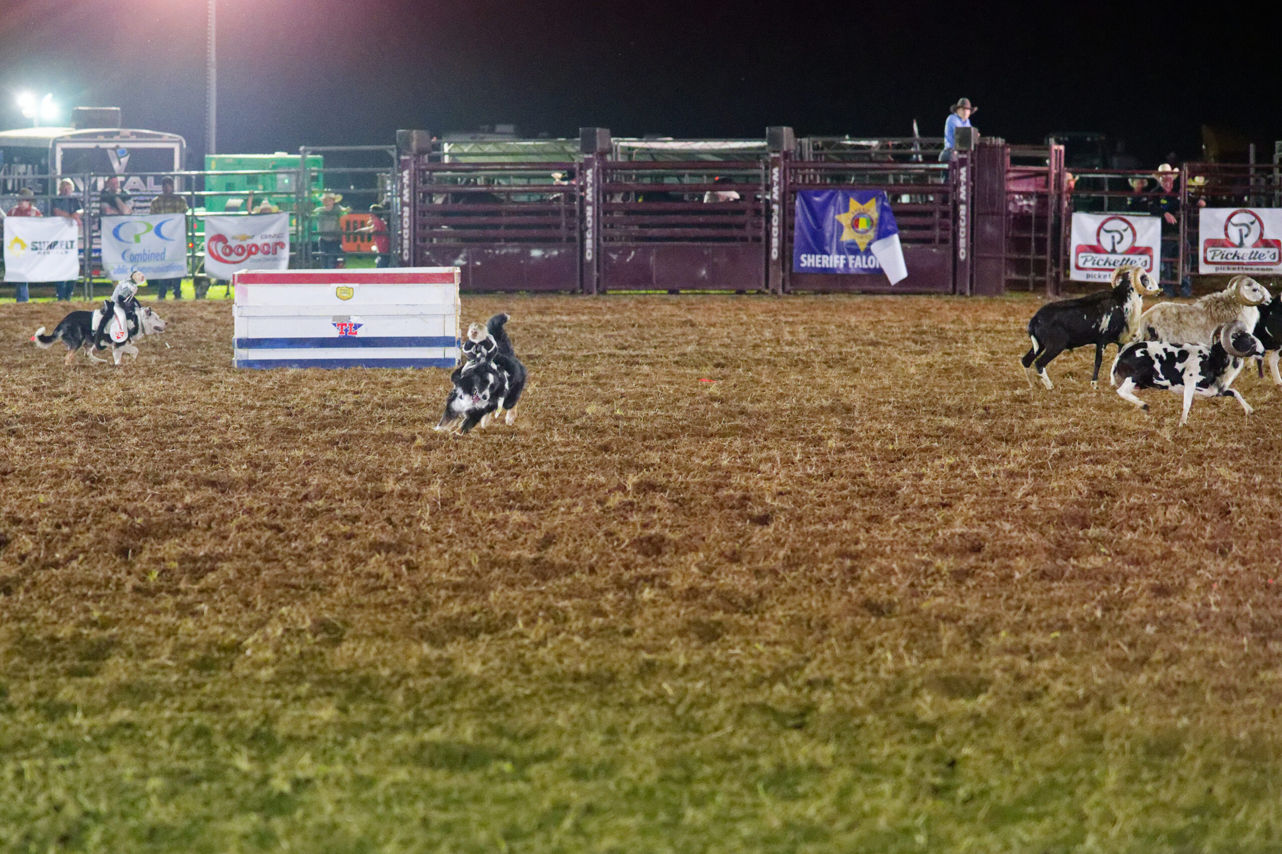 calcounty-county-sheriff-rodeo-1564-4-17-26_dxo_55216707287_o