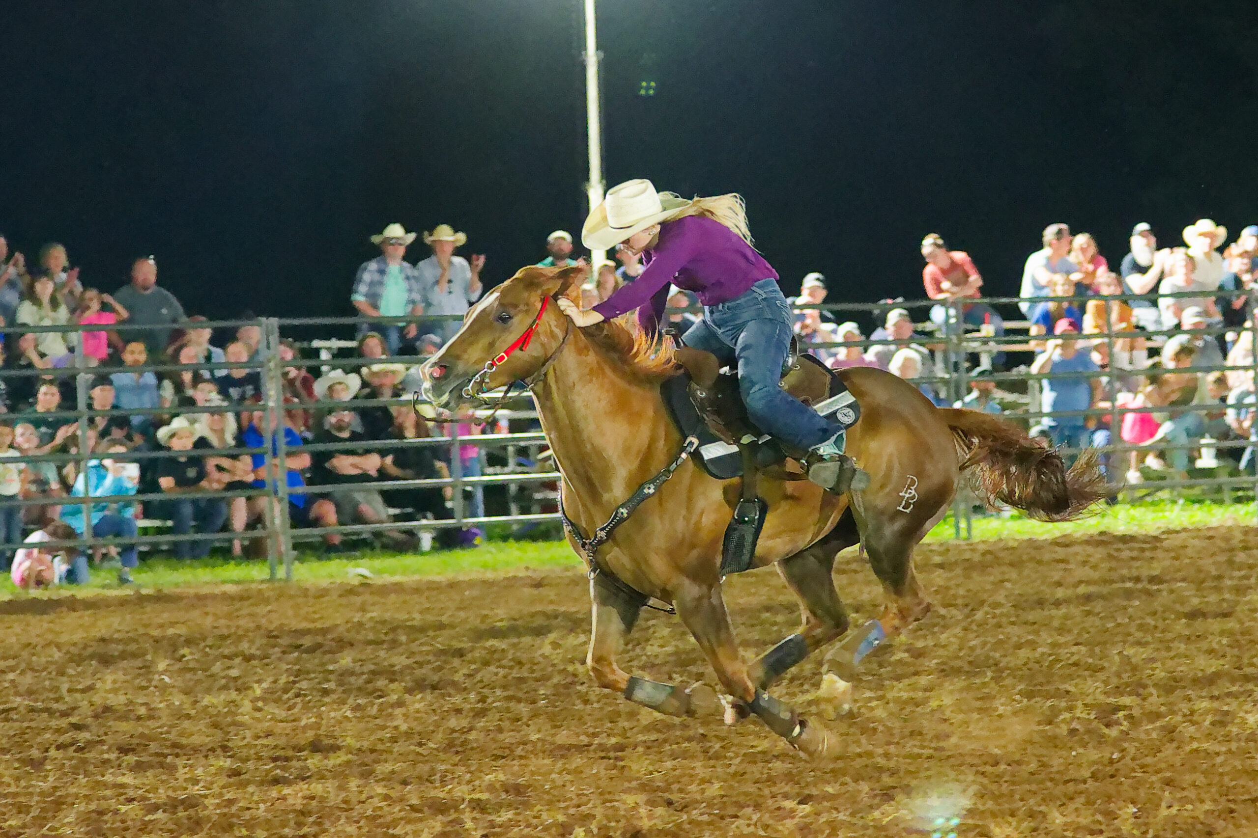 calcounty-county-sheriff-rodeo-1762-4-17-26_dxo_55217617351_o