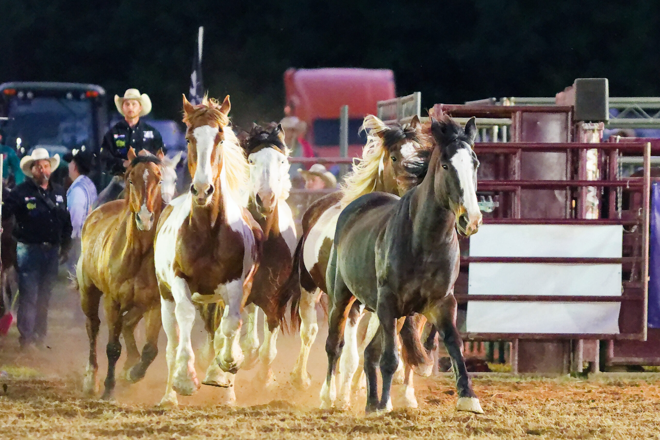 calcounty-county-sheriff-rodeo-202-4-17-26_dxo_55217647180_o