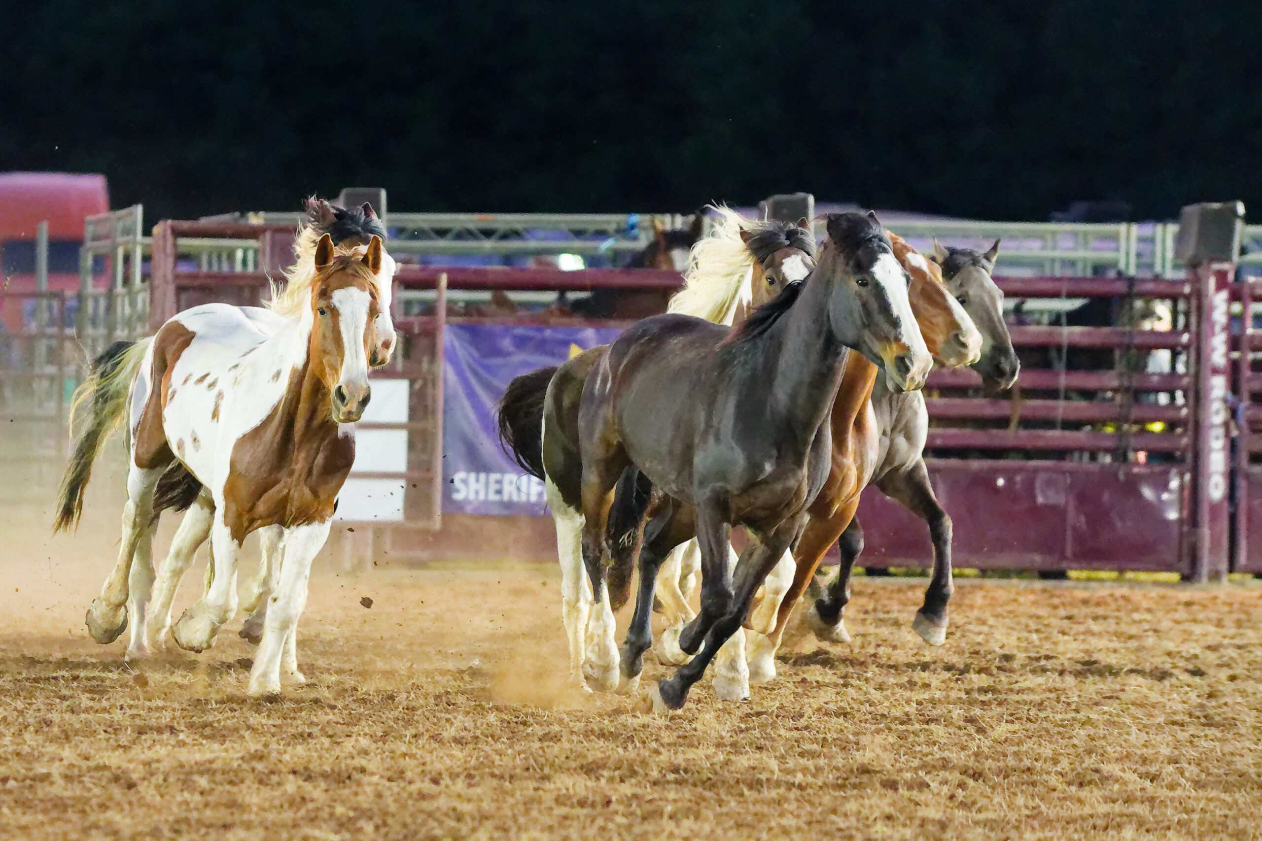 calcounty-county-sheriff-rodeo-205-4-17-26_dxo_55217253846_o