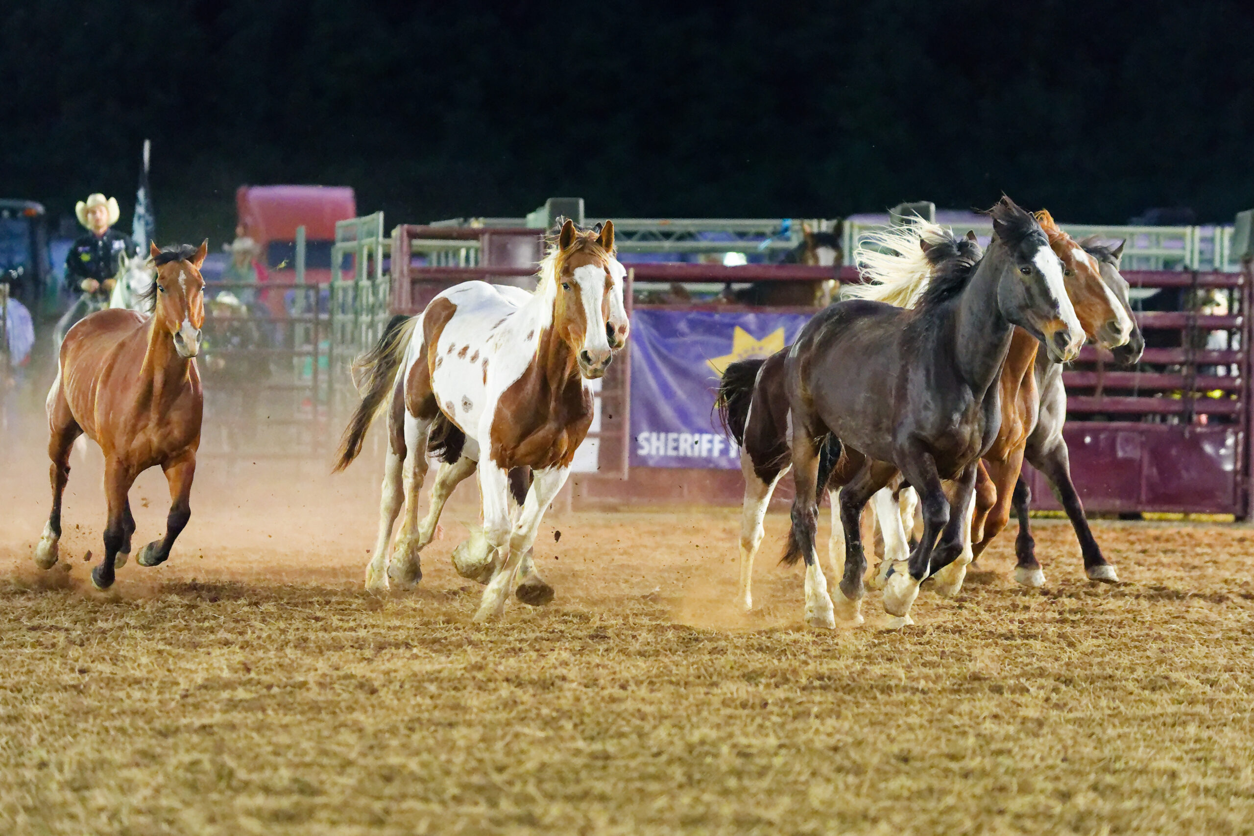 calcounty-county-sheriff-rodeo-206-4-17-26_dxo_55217414233_o
