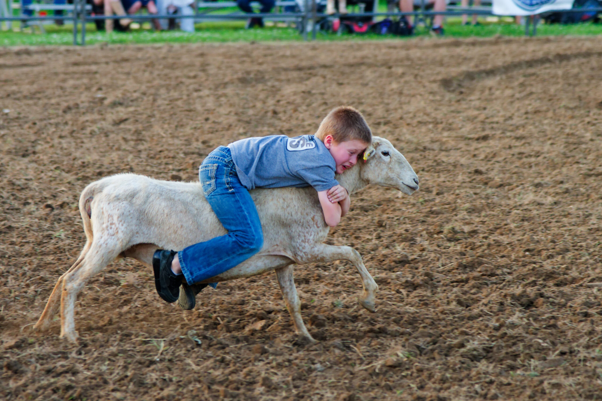 calcounty-county-sheriff-rodeo-25-4-17-26_dxo_55217357908_o