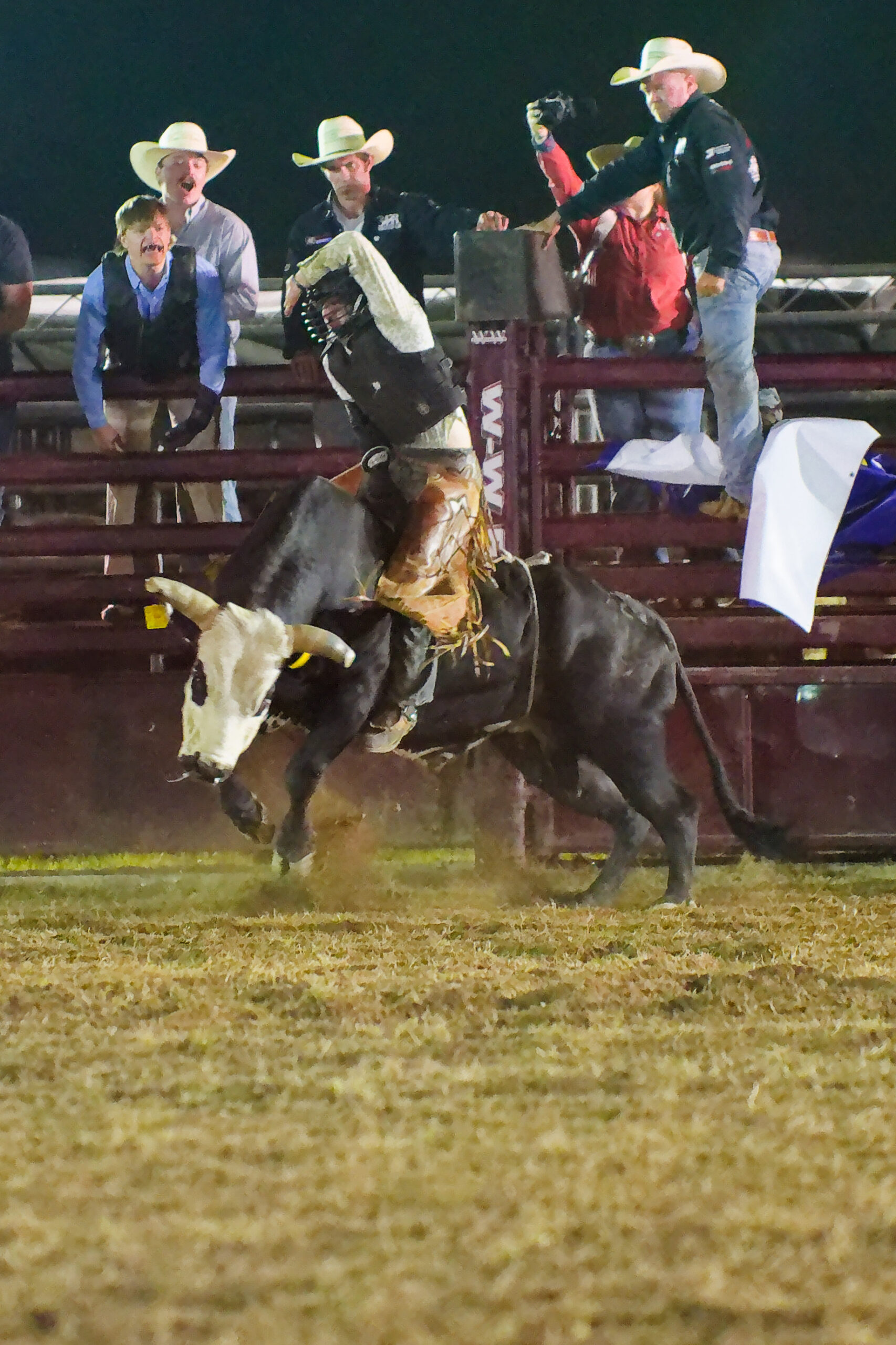 calcounty-county-sheriff-rodeo-2702-4-17-26_dxo_55217073957_o