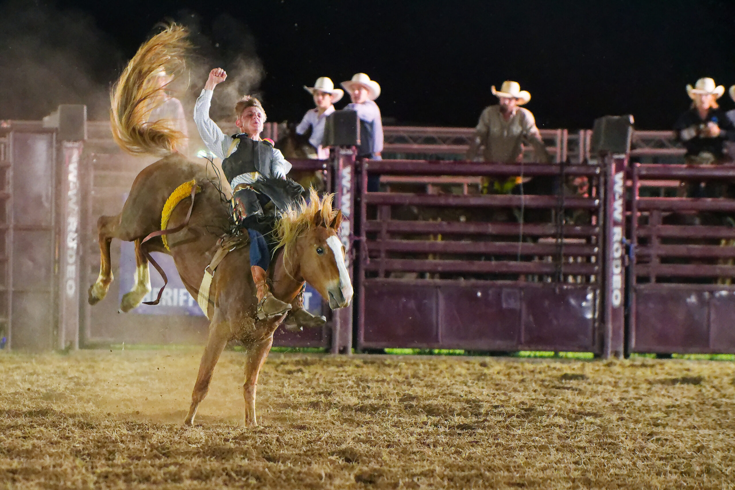 calcounty-county-sheriff-rodeo-455-4-17-26_dxo_55217357041_o