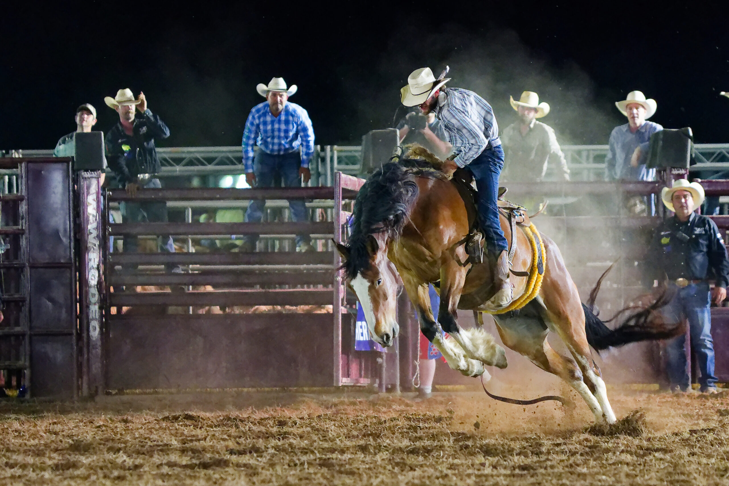 calcounty-county-sheriff-rodeo-655-4-17-26_dxo_55217560013_o