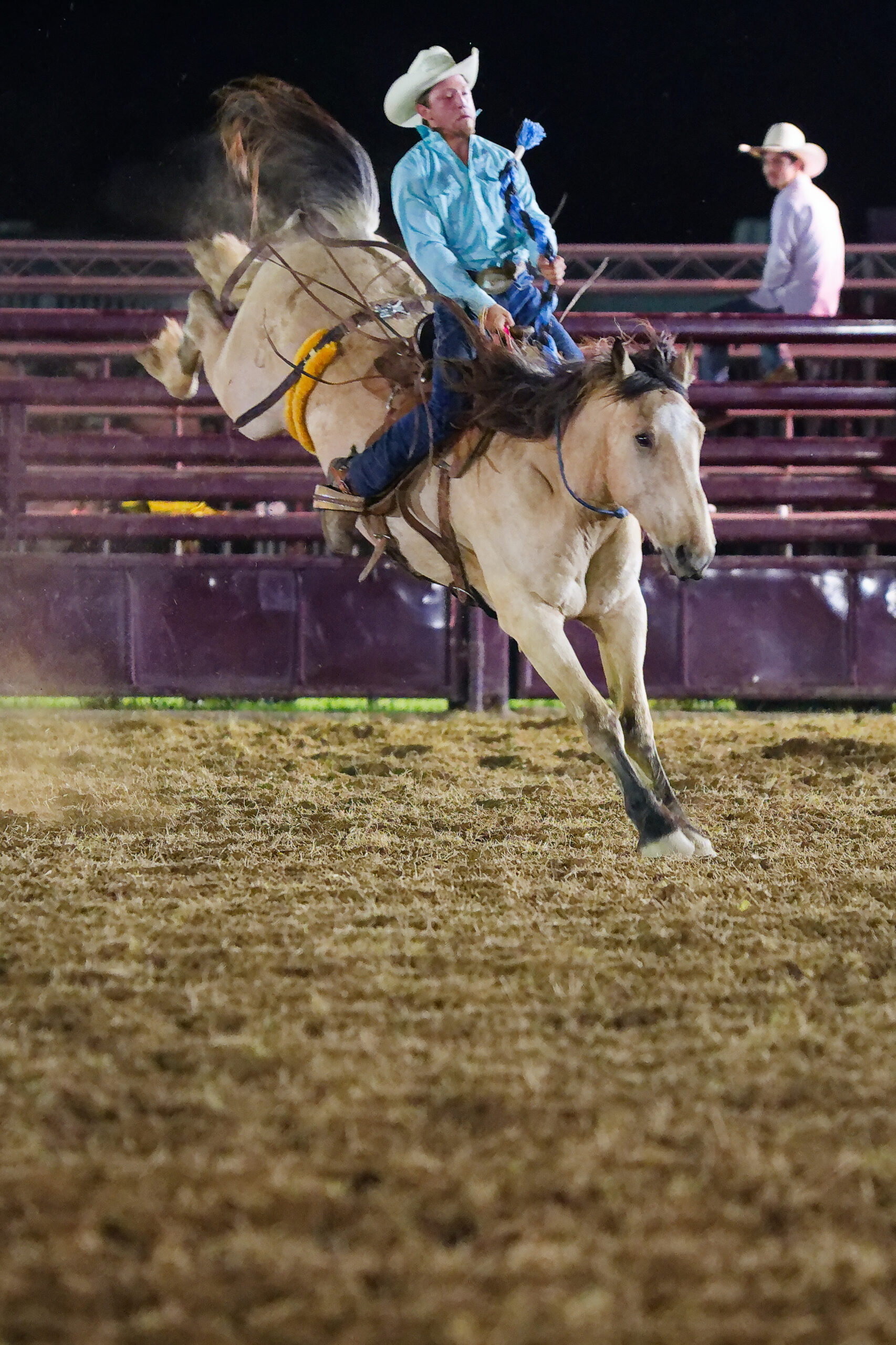 calcounty-county-sheriff-rodeo-876-4-17-26_dxo_55217604828_o