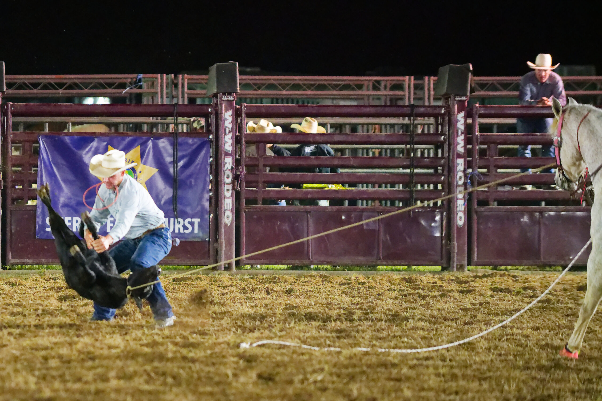 calcounty-county-sheriff-rodeo-974-4-17-26_dxo_55217858965_o