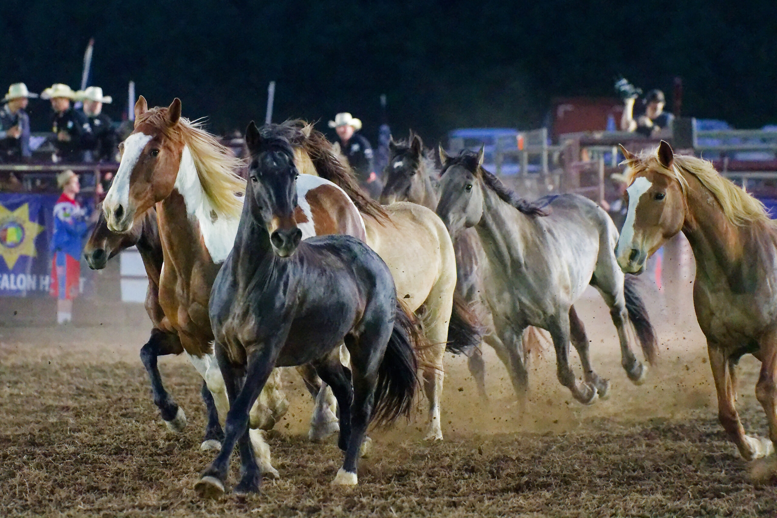 calcounty-county-sheriff-rodeo-d500-205-4-17-26_dxo_55218058161_o