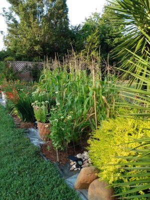 Country Cottage Landscape Ideas