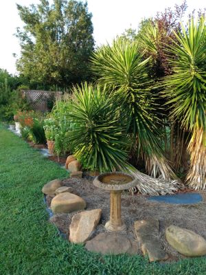 Country Cottage Landscape Ideas
