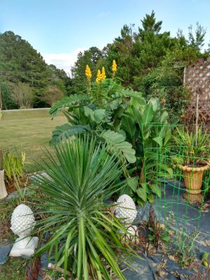 Country Cottage Landscape Ideas