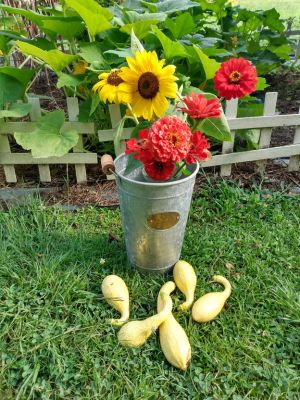 Country Cottage Landscape Ideas