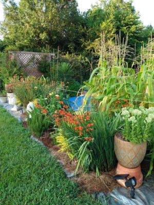 Country Cottage Landscape Ideas