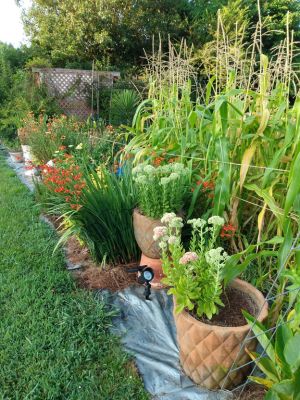 Country Cottage Landscape Ideas