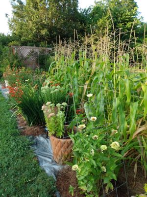 Country Cottage Landscape Ideas