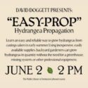 David Doggett Presents Easy-Prop Hydrangea Propagation