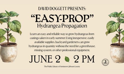 David Doggett Presents Easy-Prop Hydrangea Propagation