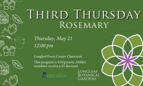 Third Thursday Rosemary