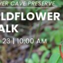 Wildflower Walk at Weaver Cave Preserve!